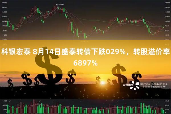 科银宏泰 8月14日盛泰转债下跌029%，转股溢价率6897%