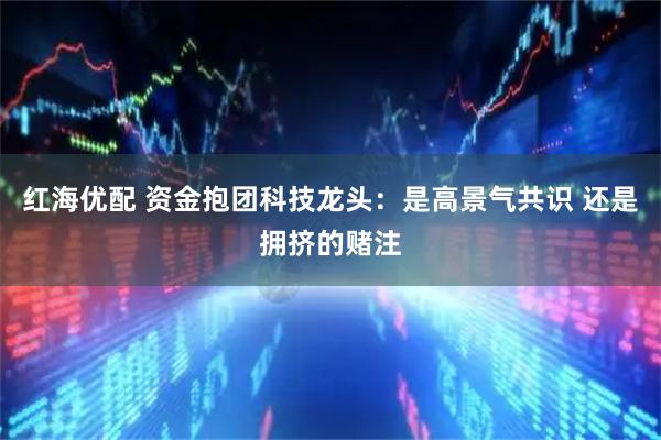 红海优配 资金抱团科技龙头：是高景气共识 还是拥挤的赌注