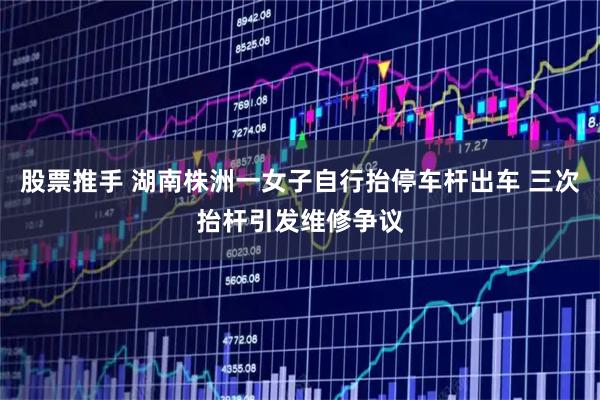 股票推手 湖南株洲一女子自行抬停车杆出车 三次抬杆引发维修争议
